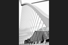 Samuel Beckett Bridge