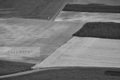 Field with road