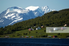 Lyngen