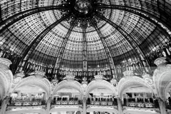 Roof of Galleries Lafayette