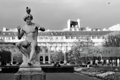 Jardin du Palais Royal